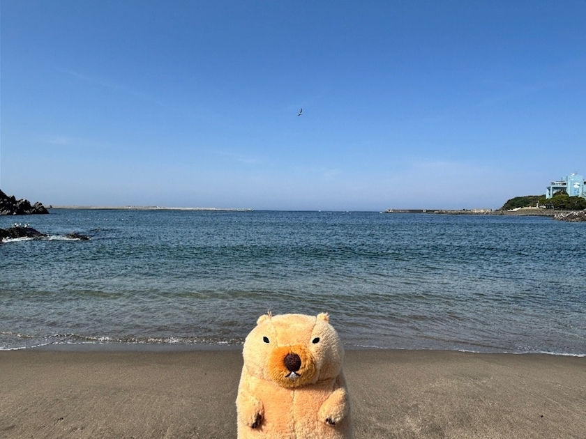 もえか