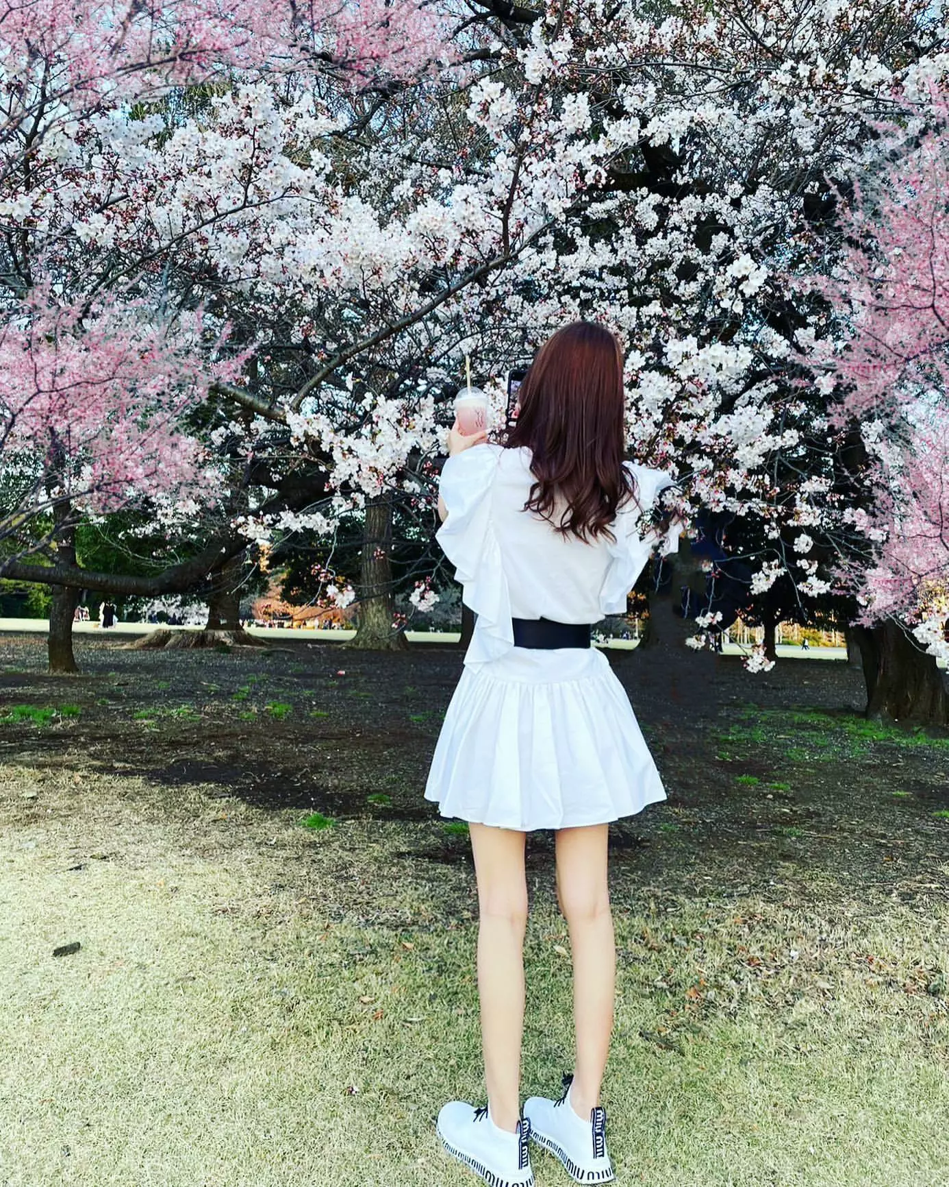 桜 ゆみ