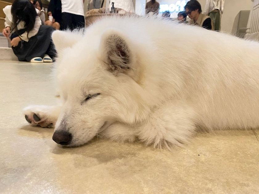 あーだこーだそら