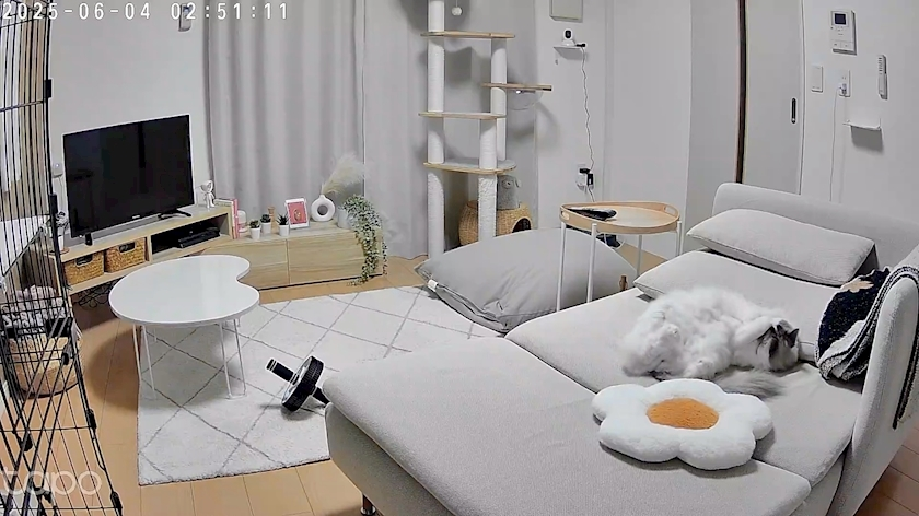 辻 みなみ