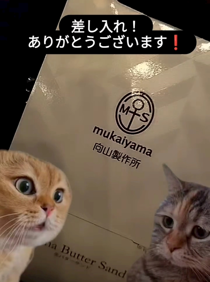 まりん