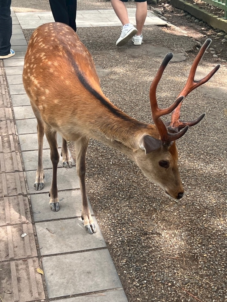 みき