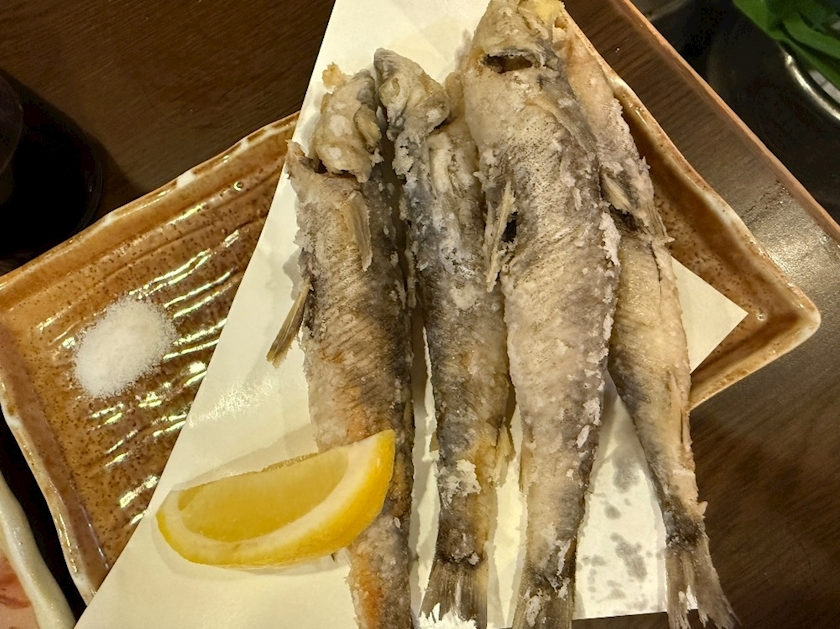 泉  みらい