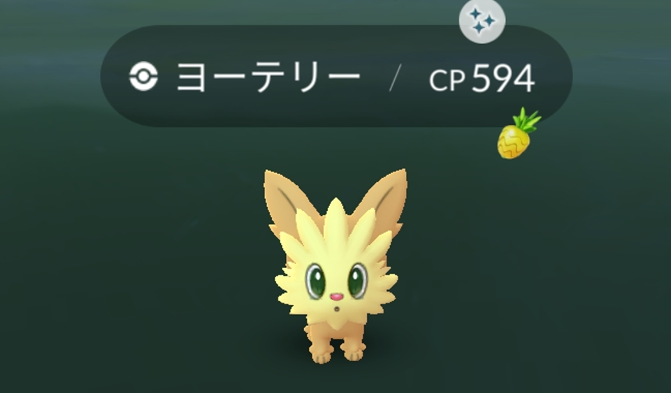 五条 椿