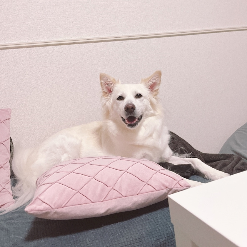 京 さゆみ