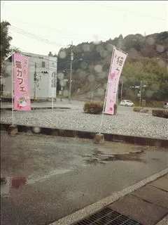 桃瀬 百華