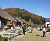 美月 愛依