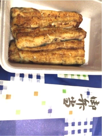 蓮見 リア