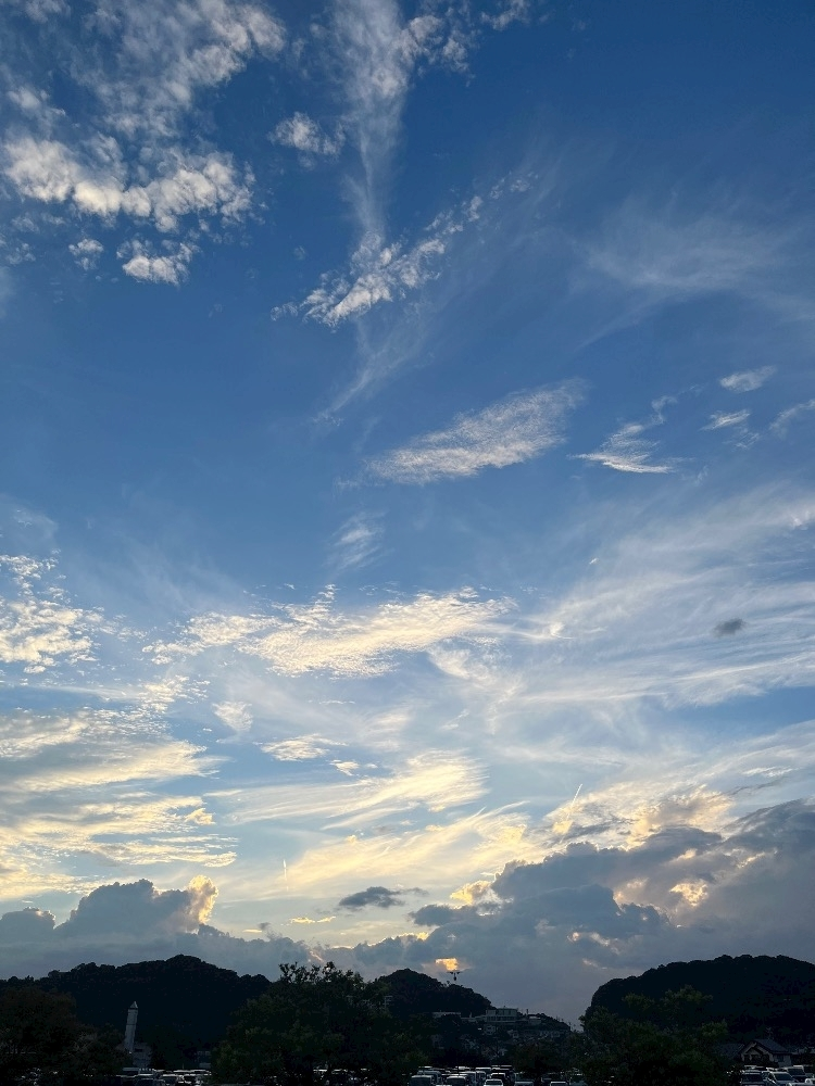 星咲 れいら