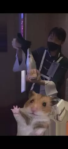 七星 夏純
