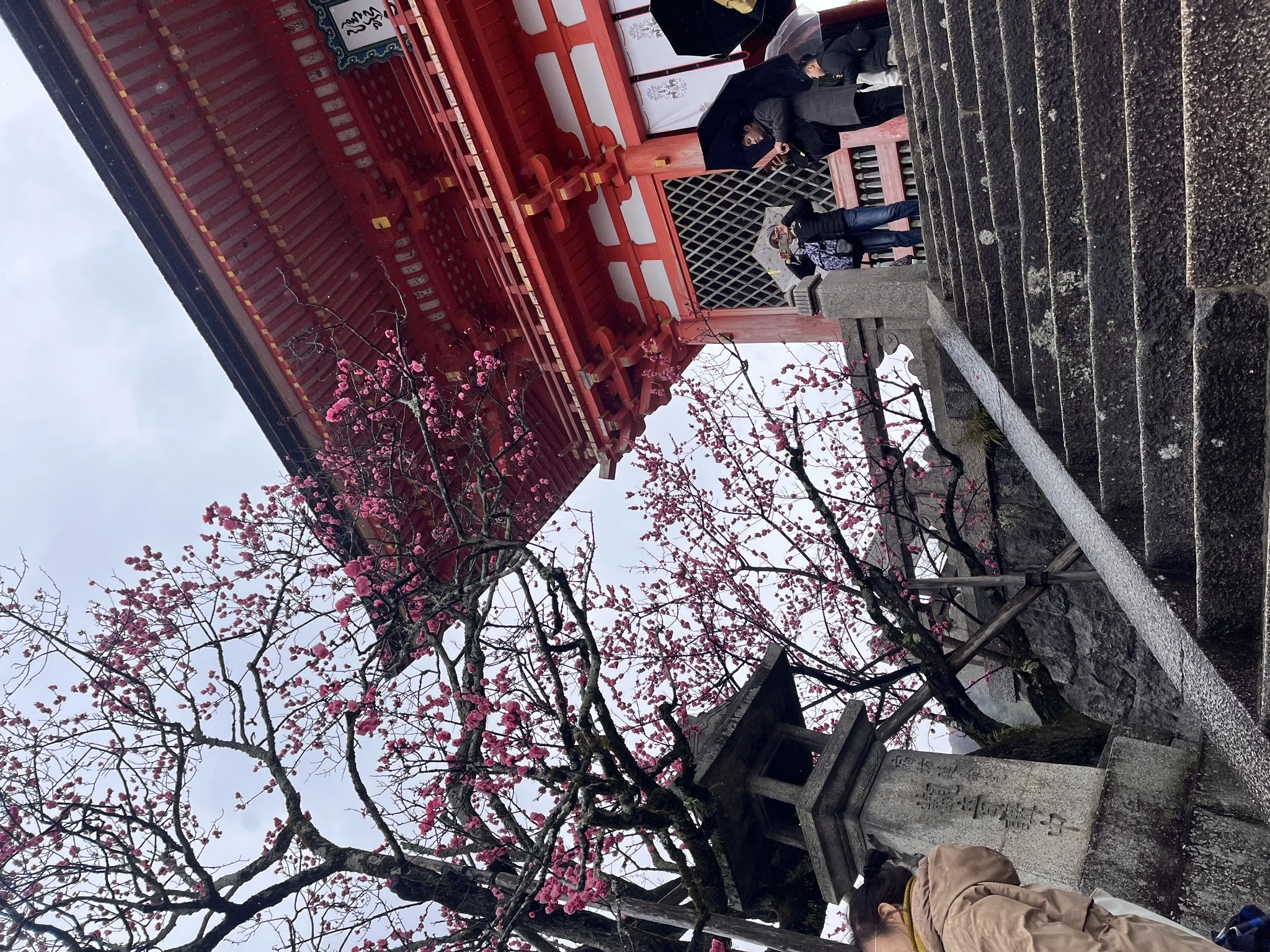 ぱき