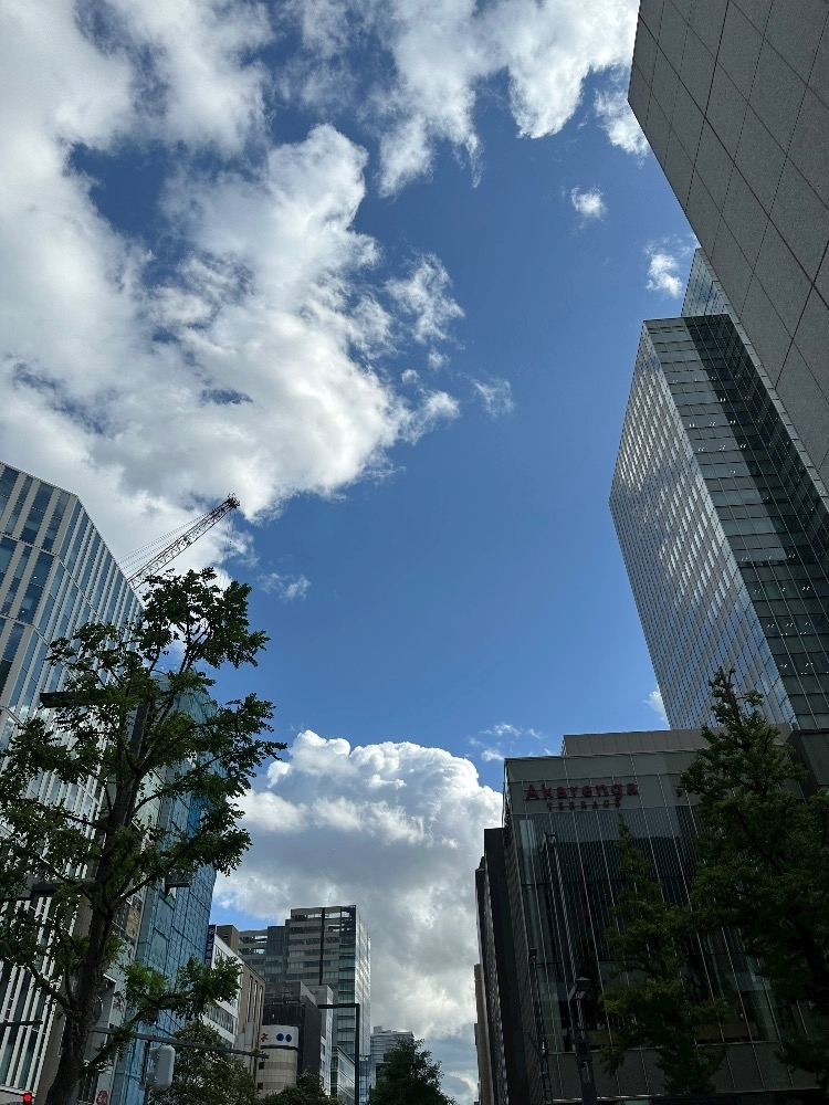 神崎 蘭