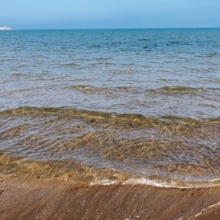 成海 まお