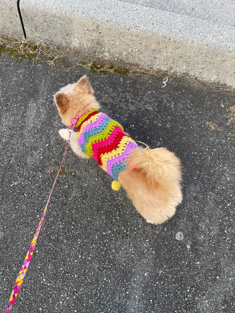 春野 じゅり