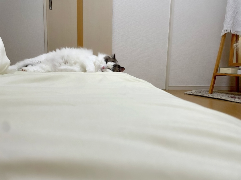 辻 みなみ