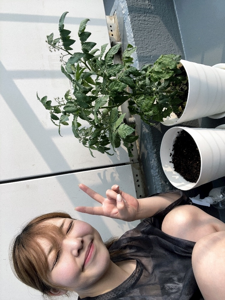 ひなた