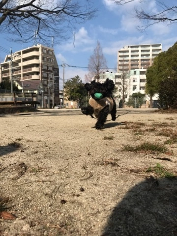 なな