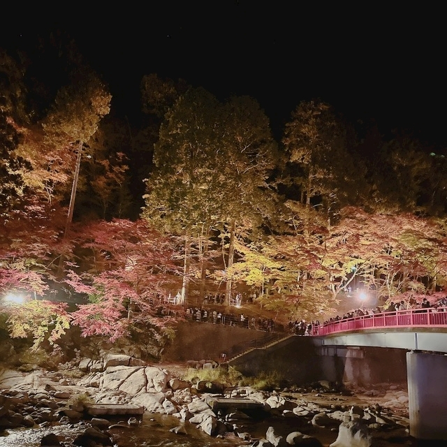 愛川 らん