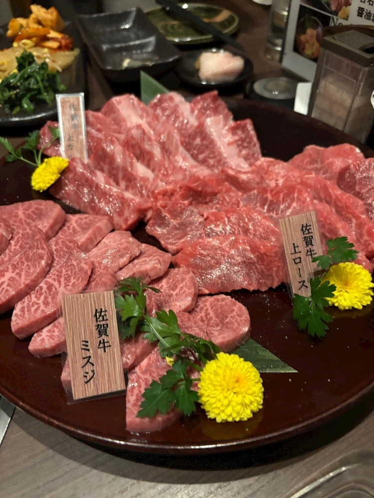 陽向 もみじ