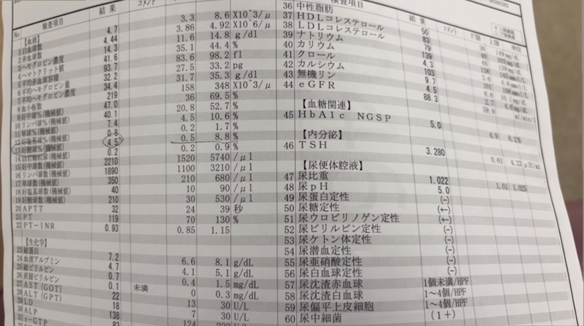 佐倉 里緒