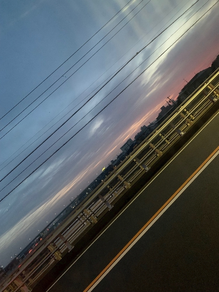 藤花 ゆの