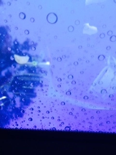ゆかり