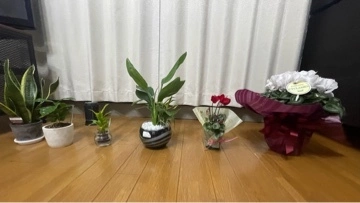りの