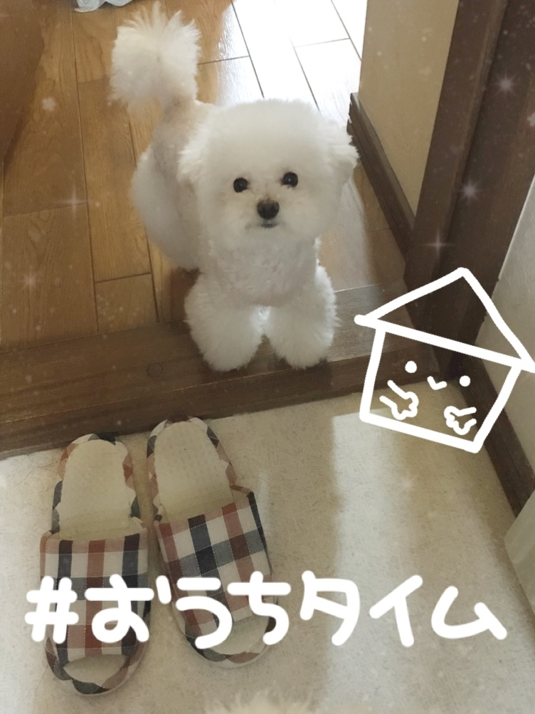 夏樹 あや