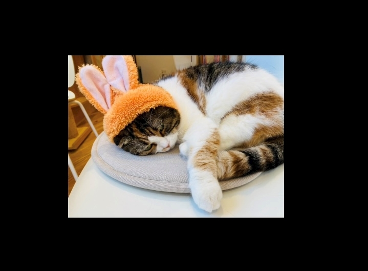 甘眠冠  しの