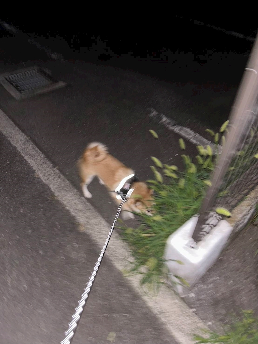 あかね