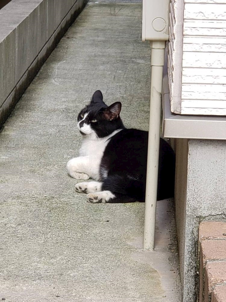 エミ （スタッフ）