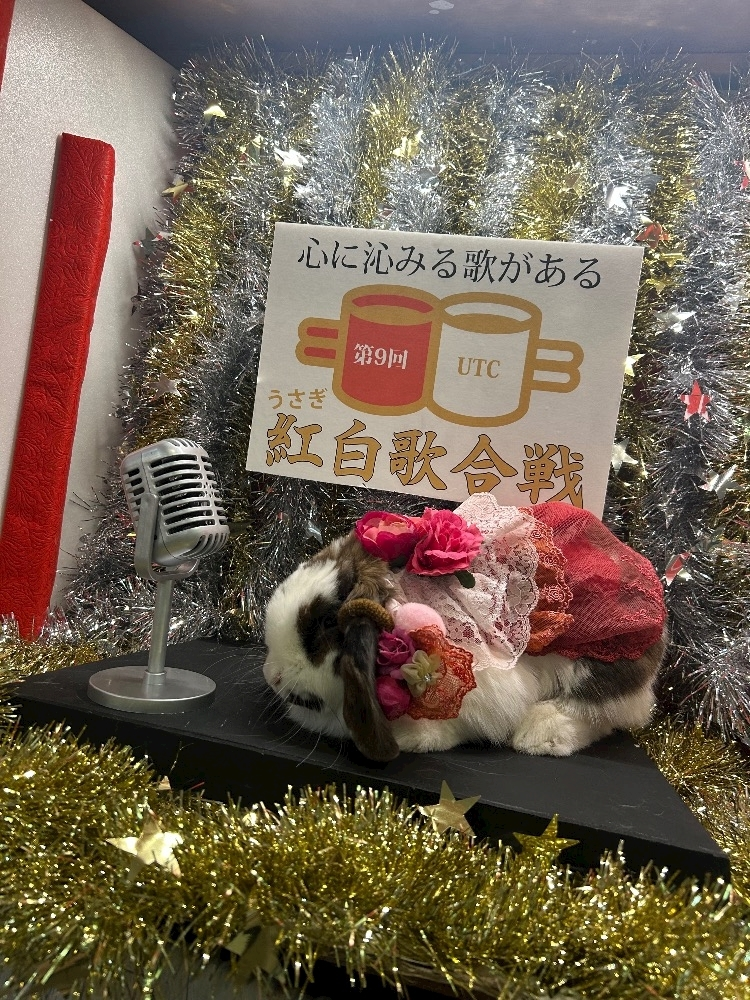 湊崎 さな