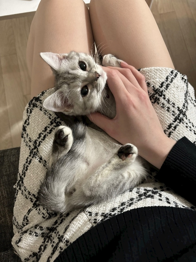佐倉 里緒