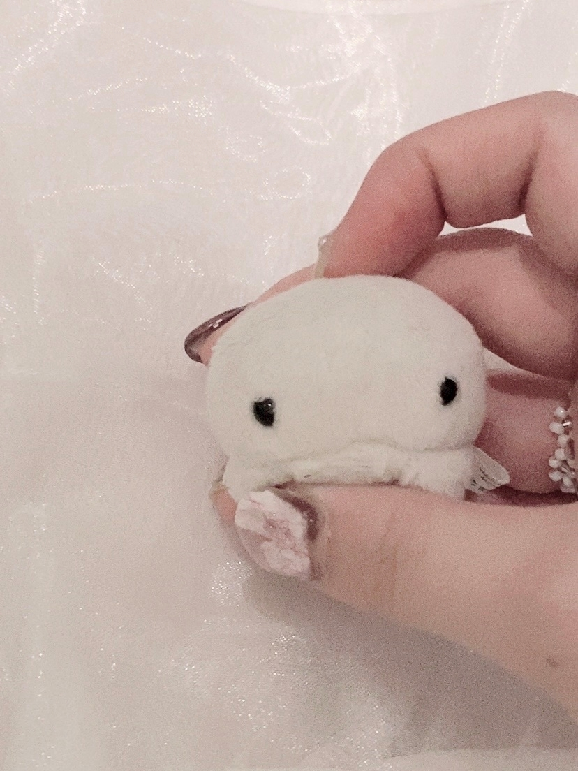 美吉 アユム