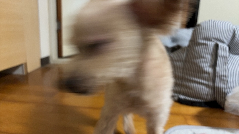 椎名 あかね