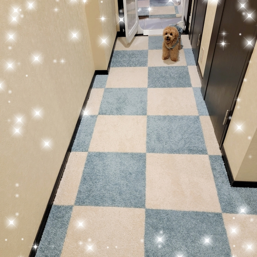 ミカ