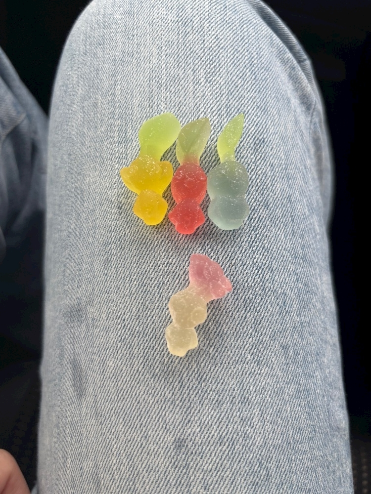 青波 なぎ
