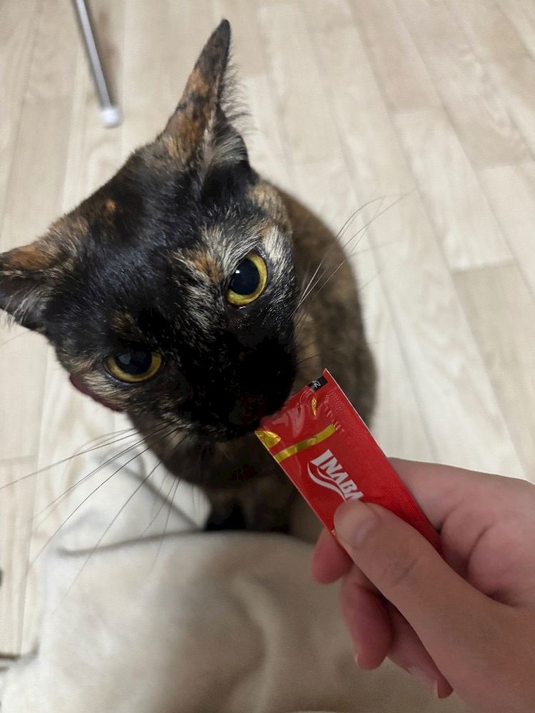 藤花 ゆの