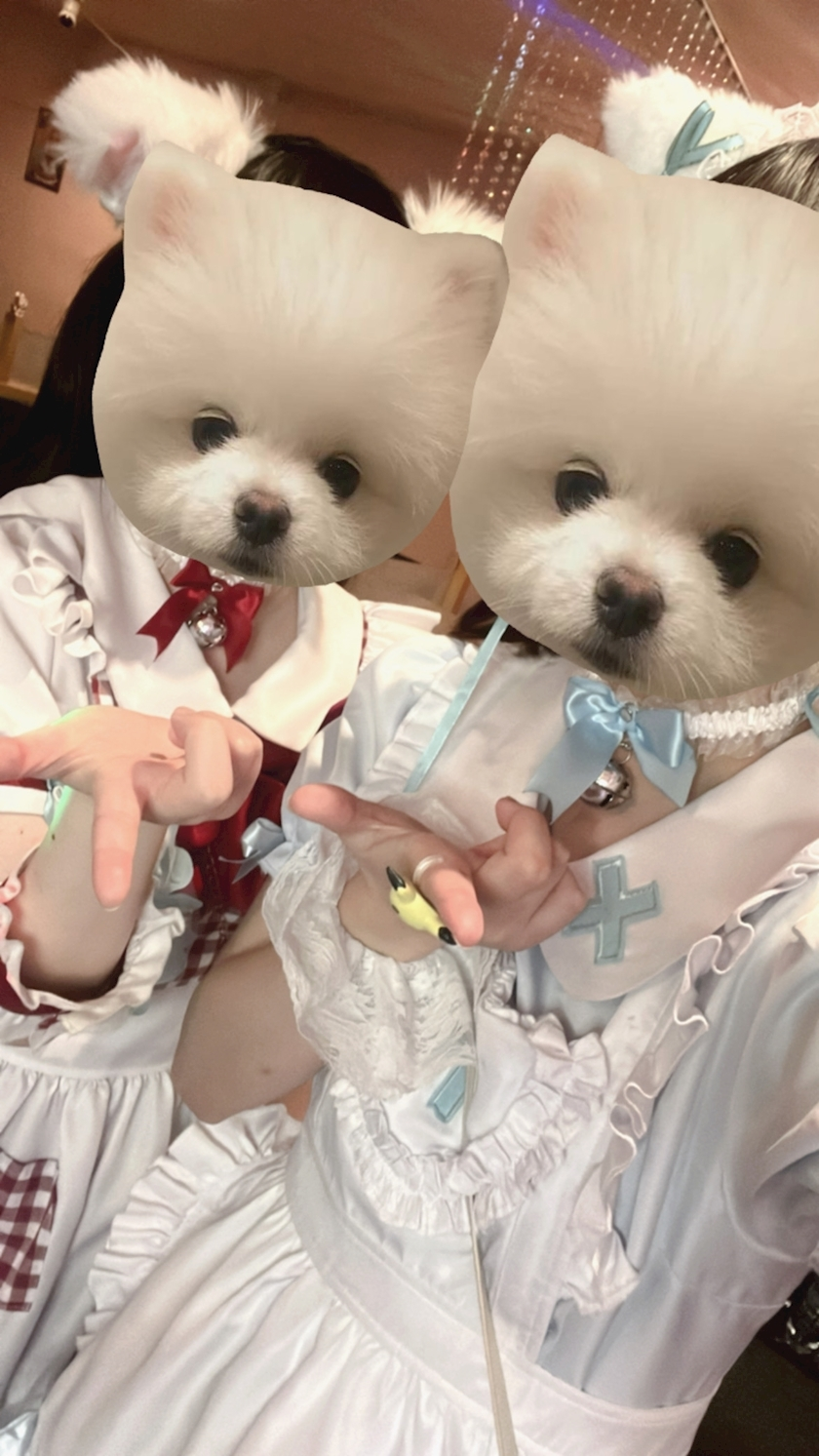 あずにゃ