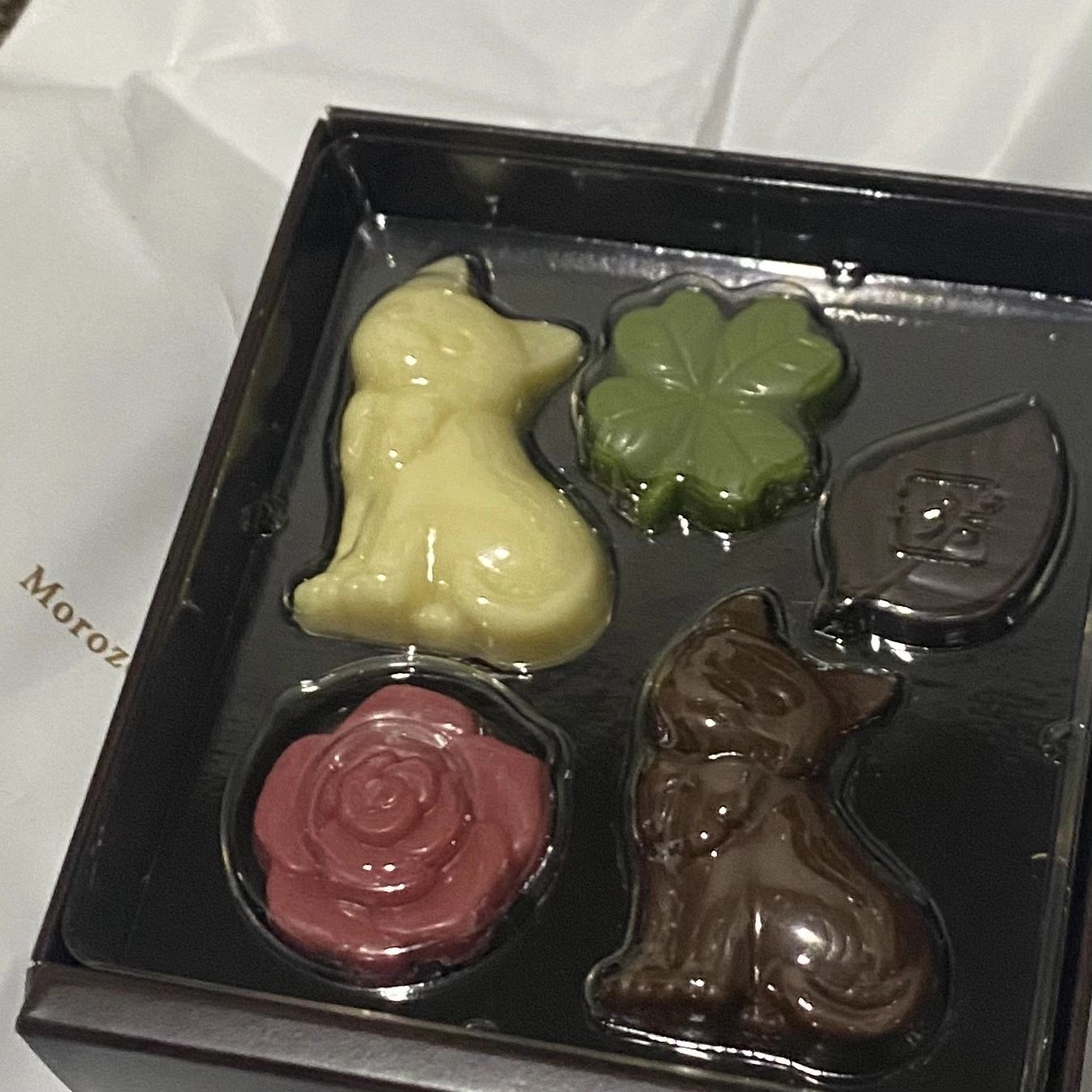 ひぃな