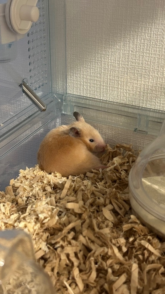 かびるんるんさわ