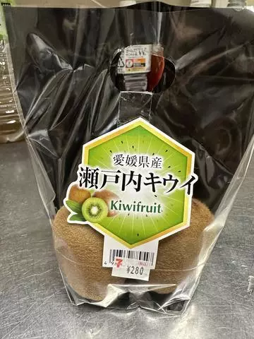 白石 愛莉