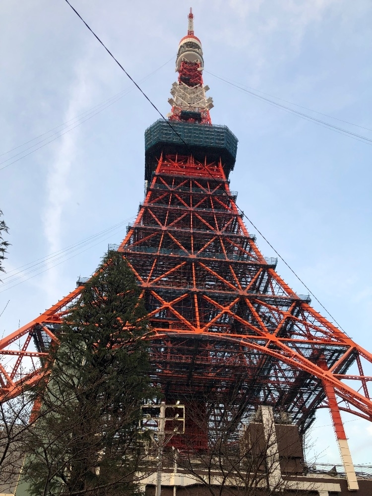 香川 ゆい