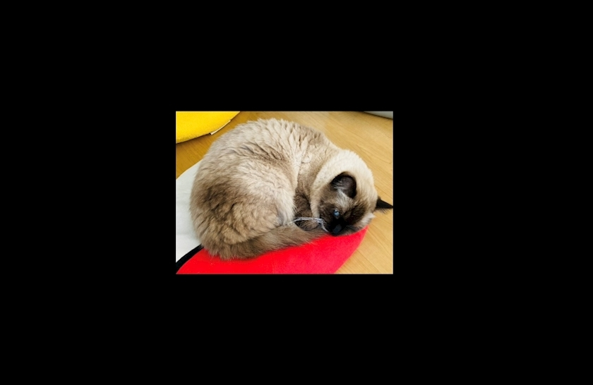甘眠冠  しの