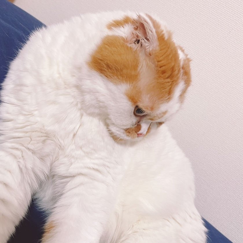 れみ