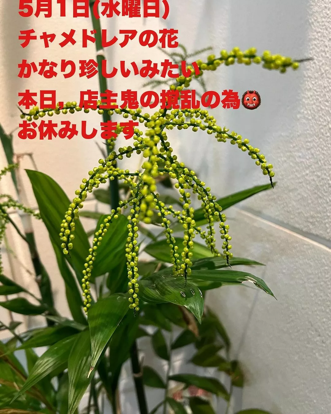 藤本 祐子ママ