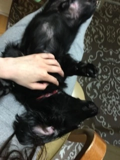 りえ