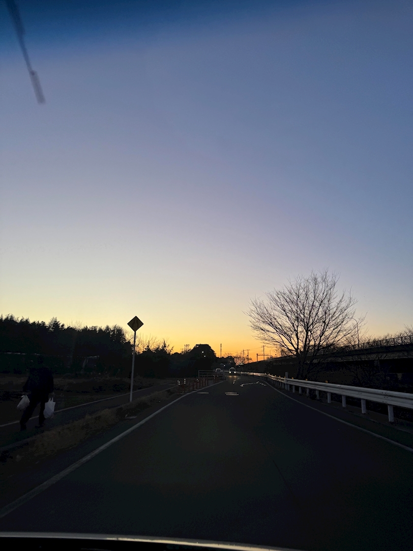 せいか