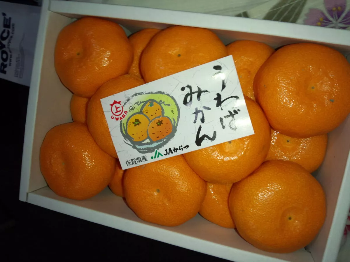 橘 あんな