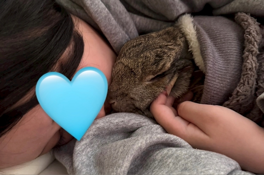 ココ
